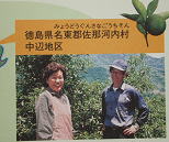 佐那河内村中辺地区